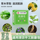 日本柬京生物醫(yī)科膚康皂通用清潔手工皂康膚皂女男士專用高級香皂 2塊【90%顧客選擇】