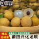 鑫果滋【順豐冷鏈】福建莆田龍眼新鮮 興化龍眼儲良特級桂圓水果送禮 5斤特大果-帶短枝 順豐/JD快遞