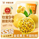 四叔公果蔬廣西欽蜜9號(hào)黃金百香果【順豐/中通】熱情果黃皮禮物新鮮水果禮盒 A+級(jí)【嚴(yán)選果】單果60-70g｜純甜 3斤裝（實(shí)惠嘗鮮）劃算 凈2.5斤