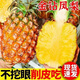 洽鮮果海南金鉆鳳梨整箱新鮮水果10斤水果樹上熟非香水菠蘿特?zé)o眼 0g 2斤裝小小果(2-3個(gè))