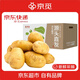 京覓 黃皮土豆 凈重9斤單果100g起 沙土地洋芋馬鈴薯新鮮蔬菜源頭直發(fā)