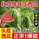 【順豐】北京 大興龐各莊小西瓜L600 牛奶袖珍新鮮水果 人工精選 4顆裝【凈重11-12斤～順豐包郵】
