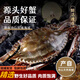 舟山梭子蟹鮮活急凍速發(fā)野生大螃蟹新鮮海蟹水產(chǎn)中秋節(jié)日送禮盒裝 【5斤 超大肥美 】7-9兩/只