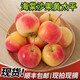 東北特產(chǎn)沙果海棠果現(xiàn)摘黃太平小蘋果k9孕婦應(yīng)季新鮮水果酸甜順豐 3斤 60mm以下 顆顆獨(dú)立包裝 順豐