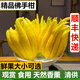 甘果有約順豐快遞 云南新鮮佛手柑帶枝香櫞果香蕉檸檬味聞香觀賞清洪鮮果 2斤青果-觀賞果帶枝5厘米-順豐