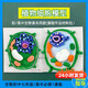 學(xué)赫植物細胞模型生物初中高中手工DIY材料包真核生物動(dòng)物細胞模型 [初中]植物細胞模型(材料包自己
