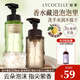 綻家藍(lán)桉葉香氛泡沫洗手液250ml（白檀與龍井綠茶）植物清潔洗手慕斯