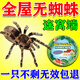 蜘蛛殺蟲(chóng)劑特效藥一窩端家用無(wú)毒滅防驅專(zhuān)用香薰室內神器蟲(chóng)卵雙殺 單個(gè)【高效驅趕蜘蛛】