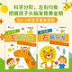 小紅花左腦開發(fā)右腦開發(fā)2-3-6歲幼兒園親子全腦思維益智潛能開發(fā)智力訓練親子寶寶邏輯訓練幼兒兒童貼貼畫繪本游戲玩具貼紙書(全8冊) 左腦開發(fā)右腦開發(fā)2-3歲（全2冊）新版