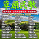 經(jīng)典草原歌曲車(chē)載u盤(pán)天籟之音高原情歌藏歌金曲無(wú)損音質(zhì)全視頻usb 草原精選800首歌曲