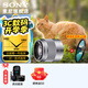 索尼（SONY） E50mm F1.8 OSS  APS-C畫(huà)幅 定焦  50F1.8半畫(huà)幅定焦鏡頭 街拍  特寫(xiě)人像 銀色E50F1.8+尼克斯49UV