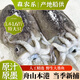 森農(nóng)樂(lè)大墨魚鮮活生鮮舟山墨魚仔冷凍冰鮮新鮮超大水產(chǎn)深海烏賊目魚整只 【6只高性價(jià)比】每只 250g(凈重)