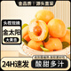 亨迅頭茬陜西大黃杏子現(xiàn)摘酸甜凱特金太陽新鮮應季時令水果生鮮 實惠凈重4.5斤裝