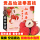 沃鮮谷【順豐空運(yùn)】桂味仙進(jìn)奉荔枝 合江荔枝當(dāng)季新鮮水果 【仙進(jìn)奉】5斤 順豐空運(yùn)【現(xiàn)摘不泡水】