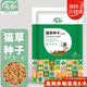 壽禾 貓草種子苗土培水培貓零食草籽 濰育中壽貓草(小麥草)種子1050g