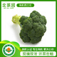 北菜園有機(jī)西蘭花西藍(lán)花 約300-400g 寶寶食材【進(jìn)店多樣加購】有機(jī)蔬菜