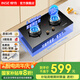 櫻雪（INSE）燃?xì)庠钐烊粴?煤氣灶雙灶5.2kW大火力 臺(tái)式嵌入式家用燃?xì)庠钜夯瘹庠罹?全尺寸兼容底殼 升級(jí)·定時(shí)+聚能防風(fēng)+銅火蓋 Q2326 (天然氣12T)