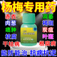 康樸楊梅樹(shù)專(zhuān)用藥褐斑病凋萎枝腐爛肉蔥病菌清農藥防落素營(yíng)養液復合肥 3瓶【買(mǎi)2送1 快速殺菌】