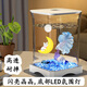燕之雁 桌面斗魚缸 微景觀魚缸 迷你水族箱 LED氛圍燈+造景+蓋+托盤