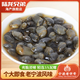 陸龍【新品】個(gè)大即食黃泥螺 鮮美脆嫩 寧波老字號 佐餐佳品 海鮮水產(chǎn) 3A黃泥螺300g*2瓶