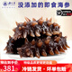 海芝屋原味即食海參大連底播鮮食海參 遼刺參獨(dú)立包裝早餐營(yíng)養(yǎng) 特級(jí)原味-大只試吃1斤裝:8-14只