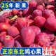 馳振【嚴選】東北雞心果遼寧特產(chǎn)123小蘋果海棠沙果圣誕果圣節(jié)禮物 嚴選果3斤【嘗鮮裝】