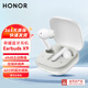 榮耀Earbuds X9藍牙耳機無(wú)線(xiàn)入耳式耳機原裝耳麥半入耳主動(dòng)降噪運動(dòng)游戲適用華為蘋(píng)果安卓手機耳機 榮耀Earbuds X9【白色】全入耳