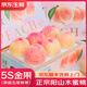 優(yōu)味集陽(yáng)山水蜜桃【JD順豐速發(fā)】新鮮毛脆桃子無(wú)錫白鳳孕婦水果高檔送禮 4斤凈重超值裝（多人爽吃） 商超級單果170g+