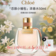 蔻依（Chloe）女士香水仙境花園系列北國雪松禮盒持久留香生日送人 情人節(jié)禮物 蔻依戀旅小豬包濃香水50ml