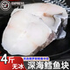 語(yǔ)森憶原切俄羅斯深海鱈魚(yú)塊中段無(wú)刺急凍鎖鮮鱈魚(yú)嬰幼兒當天順豐包郵 鱈魚(yú)中段片裝500g*4袋 簡(jiǎn)裝 2kg