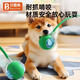 貝思奈寵物狗狗玩具自動遛狗球逗狗神器自嗨解悶耐咬電動智能跳跳球神器