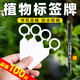 蒲戀植物標簽牌環(huán)扣加厚塑料園藝綠植花卉葡萄記號牌瓜果品種標記掛牌 【白色標簽牌100張】贈筆
