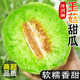 畝家田海南玉菇甜瓜軟糯冰淇淋瓜香瓜孕婦新鮮當(dāng)季水果整箱 精選5斤冰淇淋甜瓜 凈重4.5斤