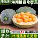 果益壽正宗哈密瓜新鮮水果疆西州蜜瓜25號(hào)生鮮瓜海南一整箱甜瓜包郵 凈重4.5-5斤 2-3枚【單果800g+】