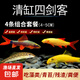 清缸三劍客大師彩虹鯊粉紅鯊金苔鼠青苔鼠觀(guān)賞魚(yú)除藻清潔工具魚(yú) 清缸四劍客4~5CM各1條共4條