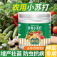 德沃多肥料農用小蘇打種菜專(zhuān)用除蟲(chóng)殺菌增產(chǎn)碳酸氫鈉肥料蔬菜果樹(shù)防治病蟲(chóng)害 農用小蘇打500g