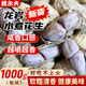 魏爾夫龍巖水煮花生2斤曬干咸干濕烤原味花生米新貨下酒休閑招待零食