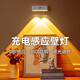 心有所屬（Heart LocK）免接線打孔壁燈磁吸小夜燈臥室床頭閱讀燈網(wǎng)紅氛圍燈感應(yīng)充電射燈