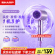 夏普家用吹風機負離子護發(fā)電吹風大功率速干低噪吹風筒智能溫控不傷發(fā)便攜旅游宿舍女生禮物推薦 等離子護發(fā)恒溫紫色IB-RC46C-V