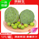 京鮮生 江西水果蓮蓬 凈重1斤 單支70g+ 新鮮水果 源頭直發(fā)包郵送荷花