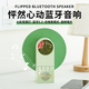 色果怦然心動創(chuàng)意藍牙音箱氛圍燈家用小型桌面電腦白噪音無線音響實用高級感七夕生日禮物送男生女朋友 新芽綠【內(nèi)置白噪音+七彩氛圍燈】