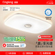 琪朗（KINGLONG）客廳燈護(hù)眼吸頂燈【國(guó)家補(bǔ)貼】?jī)和颗P室書房燈簡(jiǎn)約餐廳燈全光譜 A1客廳Φ90cm[適用20-35㎡] SunnyTop A1標(biāo)準(zhǔn)版