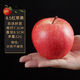 八千城各種仿真水果模型蔬菜塑料假水果道具擺件西瓜蘋(píng)果水果店裝飾品 8.5紅.蘋(píng)果