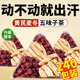 胖東來藥房品質(zhì) 黃芪麥冬五味子茶 出汗多止汗茶包泡水喝 中藥材 升級版【30包嘗鮮裝】黃芪麥冬五味子茶