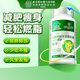 內廷上用北京同仁堂左旋肉堿茶多酚膠囊減肥塑身瘦大肚子燃脂排油14.7g