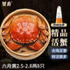 【活蟹】蟹爵大閘蟹鮮活螃蟹 現(xiàn)貨生鮮河蟹實物水產(chǎn)海鮮禮盒 六月黃2.5-2.8兩8只