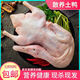 農(nóng)家散養(yǎng)土鴨子現(xiàn)殺正宗老鴨子整只鴨肉笨鴨鮮鴨冷凍批發(fā) 2kg 新鮮鴨子二只裝4-4.5斤