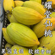 蛋黃果耀堂仙桃木瓜仙桃濕包雞蛋果新品改良軟糯香甜新鮮現摘鮮果 單果190-400g 1500克（實惠）放軟食用