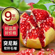 生活＆好管家四川突尼斯軟籽石榴特大果新鮮水果紅番石榴中秋節(jié)禮盒 軟籽石榴特大果4.5斤[單果400g+]