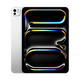 【準(zhǔn)新品】Apple/蘋果 iPad Pro 11英寸 M4芯片 2024年新款平板電腦(256G WLAN版/MVV93CH/A)銀色